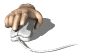 hand_computermouse_do_a_sw.gif